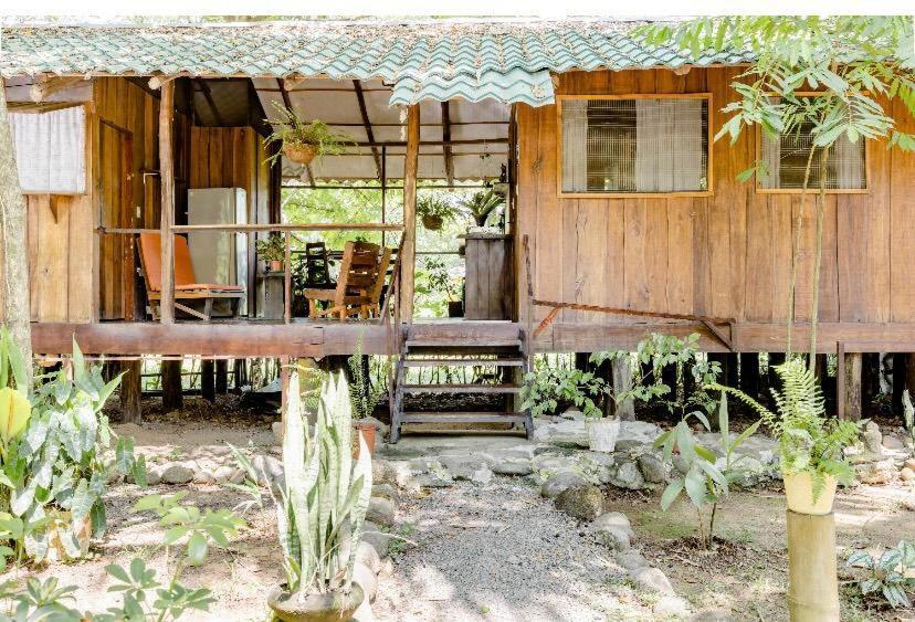 Luminosa Uvita Hostel Kültér fotó
