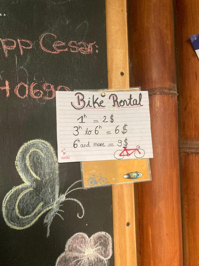 Luminosa Uvita Hostel Kültér fotó