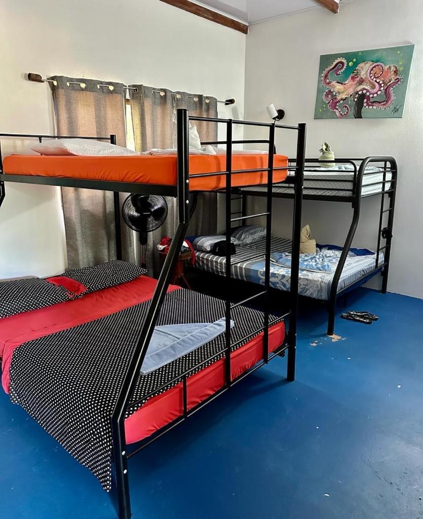 Luminosa Uvita Hostel Kültér fotó